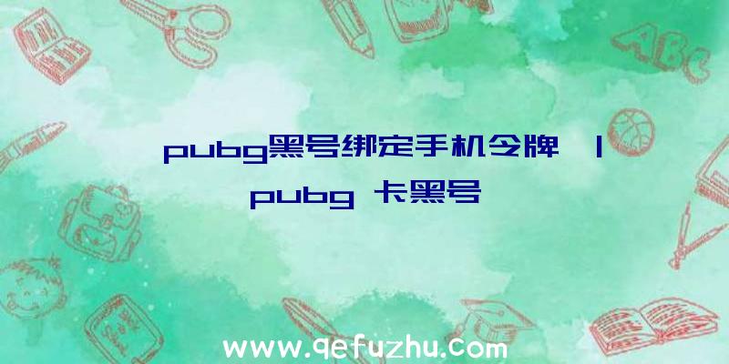 「pubg黑号绑定手机令牌」|pubg